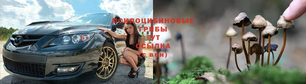 гидра Верхний Тагил