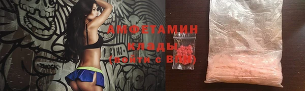 гидра Верхний Тагил