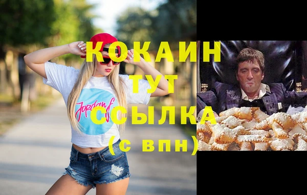 гидра Верхний Тагил