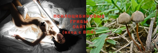 гидра Верхний Тагил